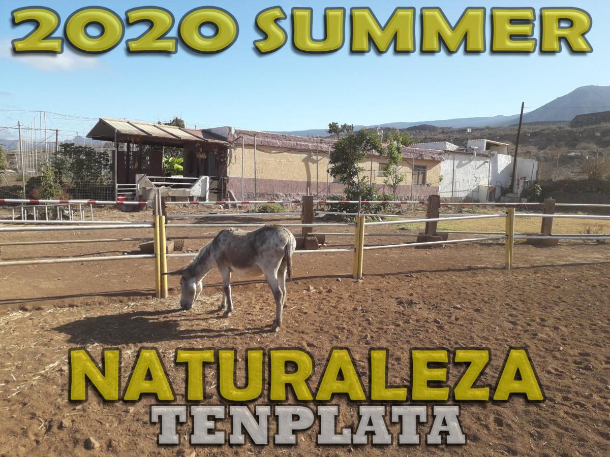 Tenplata Tijoco de Abajo Extérieur photo