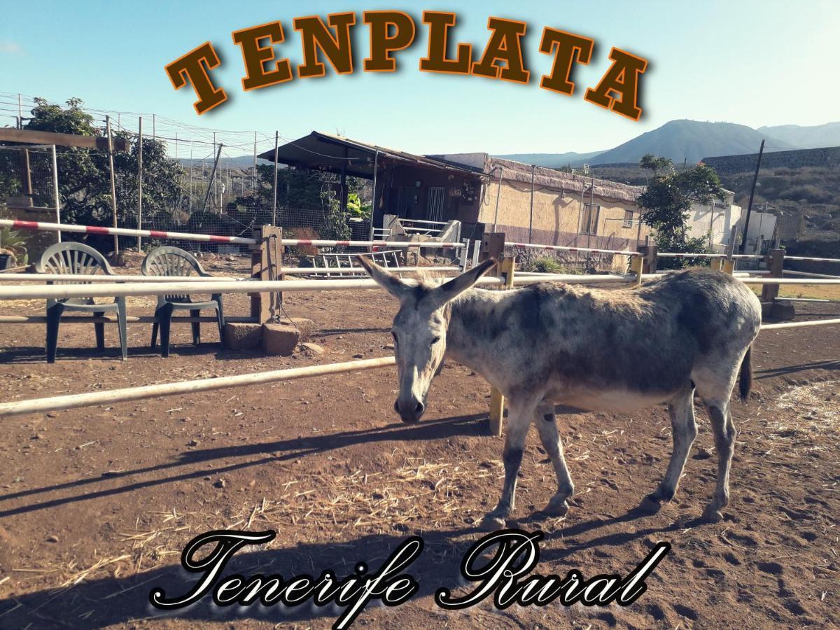 Tenplata Tijoco de Abajo Extérieur photo