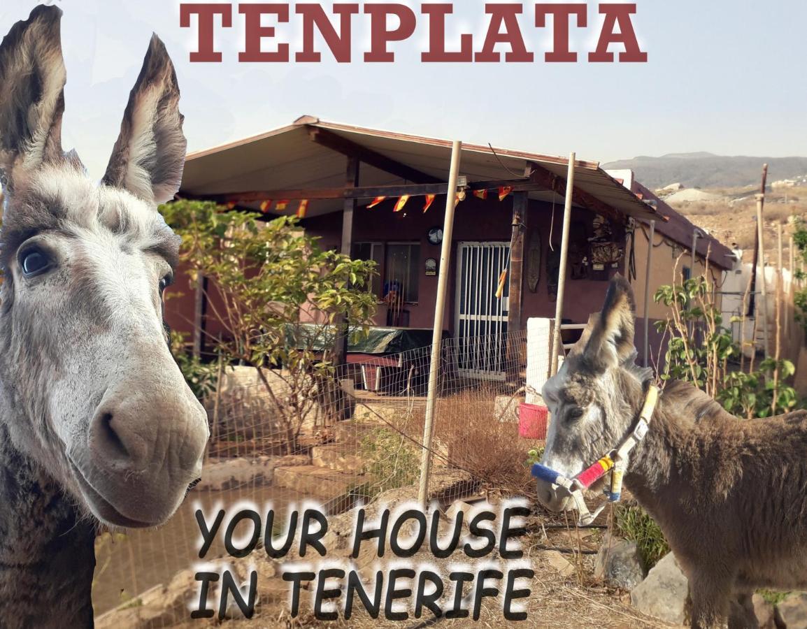 Tenplata Tijoco de Abajo Extérieur photo